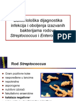 Vezba 5 - Streptococcus, Enterococcus
