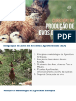 2-Aula-Aves-Em-SAF-Karin-Hanzi-pdf.pdf