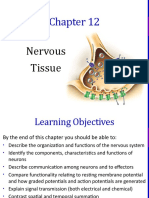 CH 12 - Nervous Tissue - SV Complete