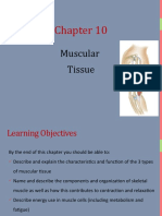 CH 10 - Muscle Tissue - SV Complete (5) Kin 267