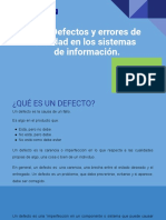 2.2. Defectos y Errores de Calidad en Los Sistemas de Información