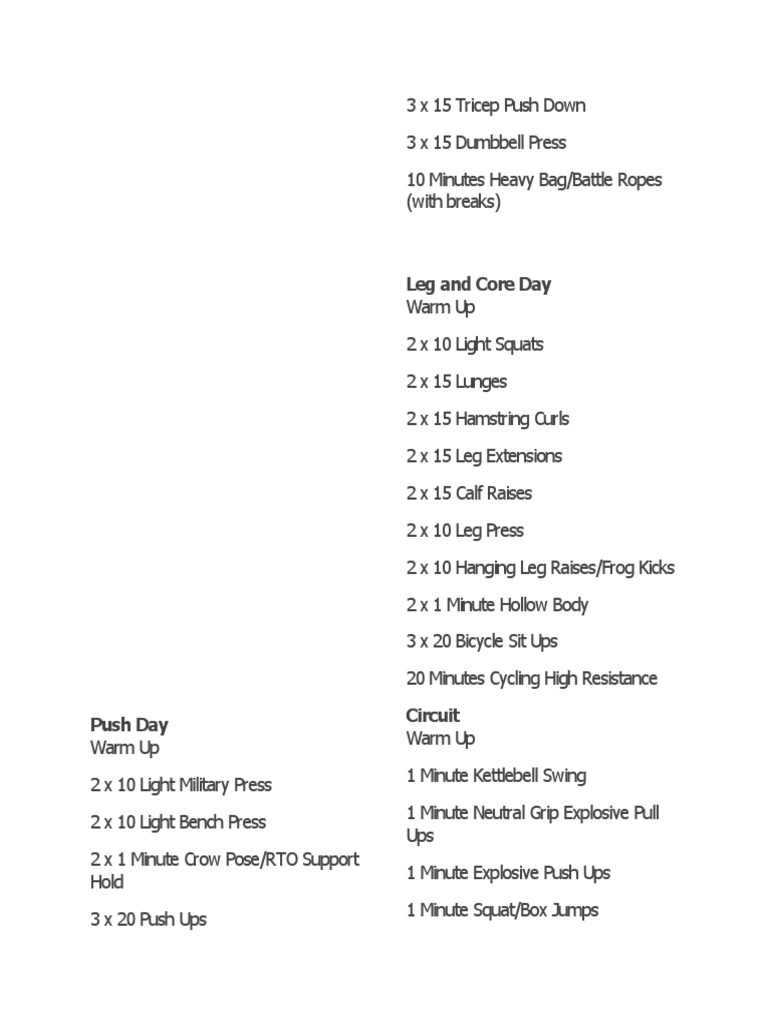 Comprehensive Workout Routine Guide | PDF | Wellness