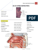 Anatomia Do Sistema Respiratório PDF