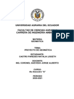Proyecto Geomática Natalia Castro PDF