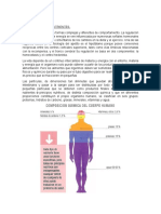 FISIOLOGÍA DE LOS NUTRIENTES. Bromatología Resumendocx