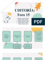 Foro 15 - Auditoría