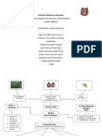 Mapa Mezcla Mercadologica