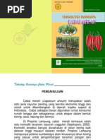 Download budidaya-cabe by lukiwahid SN48769668 doc pdf