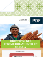 Objetivos Del Fitomejoramiento en Quinua