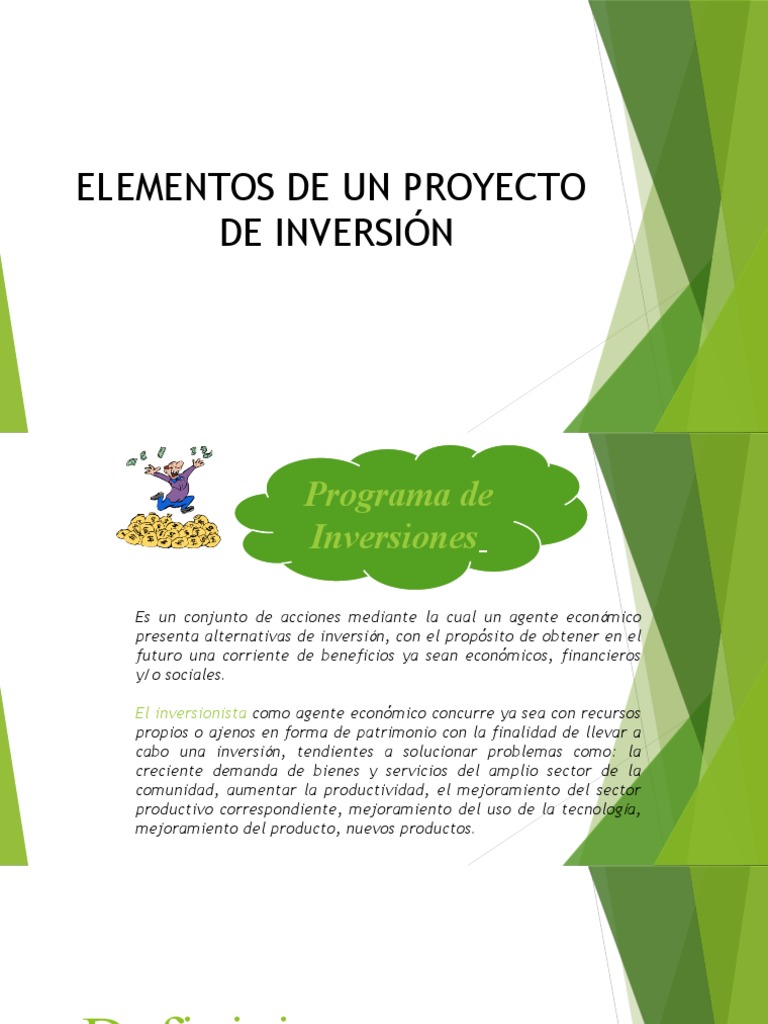 Elementos de Un Proyecto de Inversion | PDF | Presupuesto | Inversiones