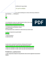 Practicas Sobre El PBI Nociones de Economia