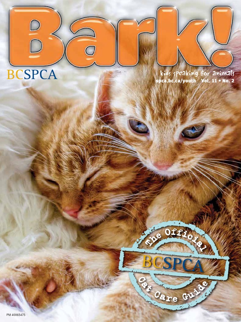 Cat intelligence overview