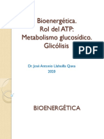 Bioenergética: Rol del ATP y la glicólisis