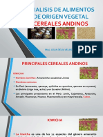 Cereales Andinos