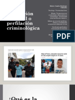 Perfilación Criminal o Perfilación Criminológica (Presentación)