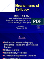 Basic Mechanisms of Epilepsy