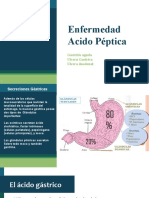 Enfermedad Acido Péptica 