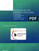 Diapositivas Creacion de Una Empresa y Sitio Web Dragon Fruit