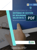 Anexo_Auditoria.pdf