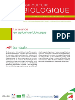 Fiche Technique Lavande 2 PDF