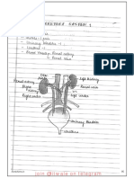 Human Excretory