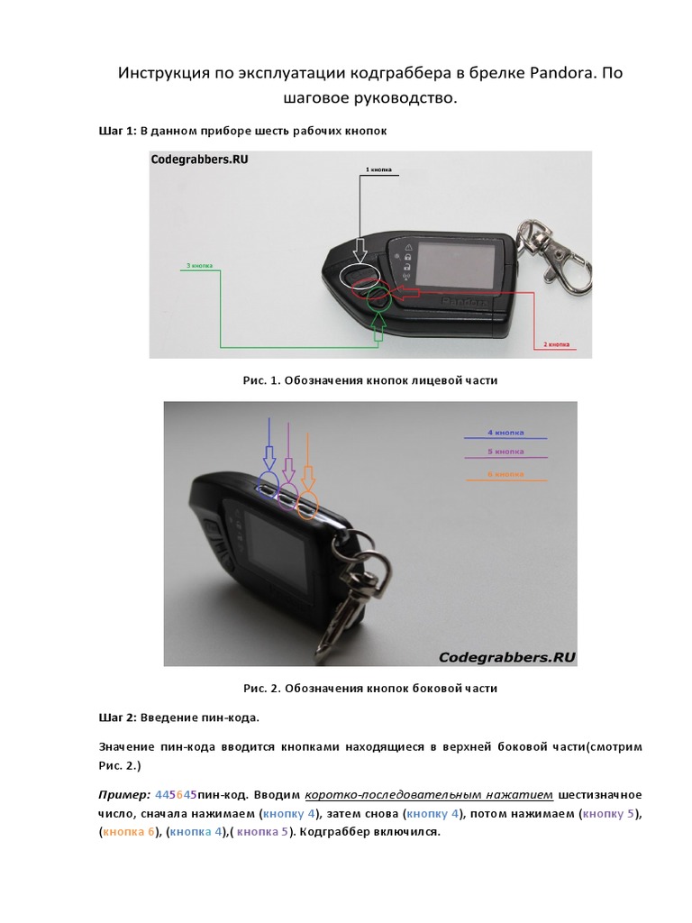Pandora PDF | PDF