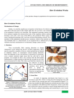 How Evolution Work PDF