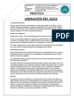 PRÁCTICA 1 CONTAMINACIÓN CASO ESPECIAL c.pdf