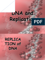DNA Replication 1