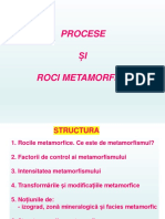 Introducere in Geologie - Prezentare 11 - Petrologie Metamorfica PDF