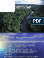 geografie-padureaecuatoriala-121115124314-phpapp02.ppt