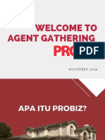 Agent PROBIZ Tools Kit