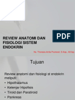 Anatomi Dan Fisiologi Sistem Endokrin