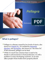 Pellagra: Elaborated By:tambur Vadim Group:M2016