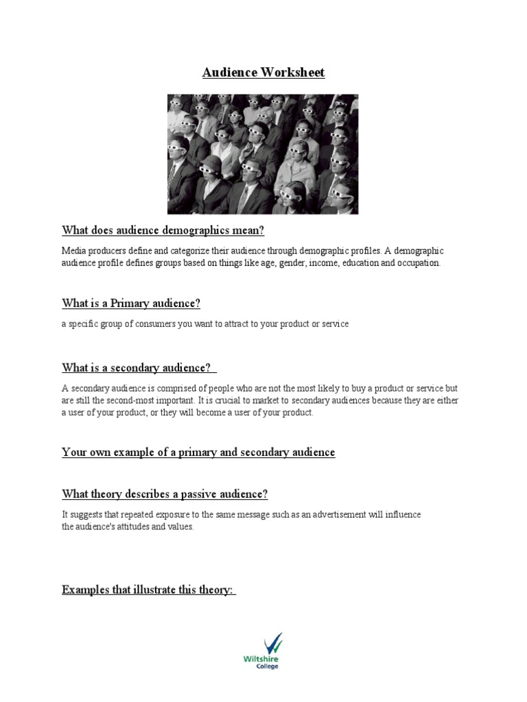 Audience Worksheet What Does Audience Demographics Mean? PDF