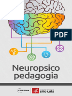 1569430728Material_Rico_-_Neuropsicopedagogia-compactado.pdf