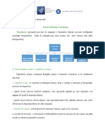 Surse de Finantare A Entitatii-Fisa de Documentare