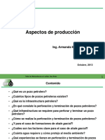 Aspectos de Produccion PDF