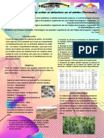 cartel protocolo.pdf