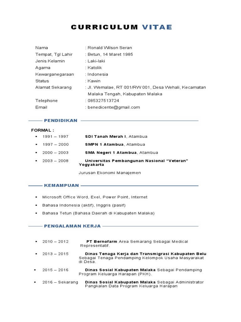 CV Ronald Wilson Seran 2024 | PDF
