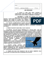 Águias são as rainhas das aves de rapina