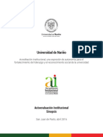 AutoevaluacionInstitucionalSinopsis PDF