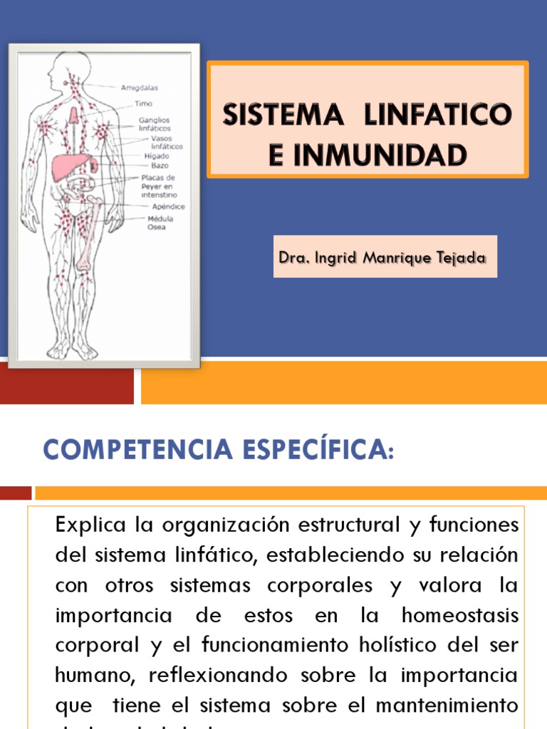 Sistema Linfatico E Inmunidad Pdf Pdf Sistema Inmune Sistema