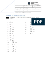 Raíces cuadradas y perímetros