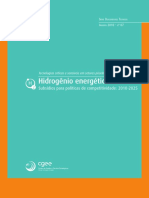 Hidrogenio energetico no BRASIL - 2010-2025.pdf