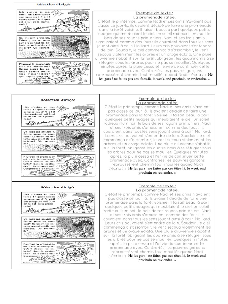 Exemple De Redaction Dirigee Scribd Pdf