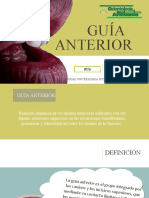 326701421-Guia-Anterior.pptx