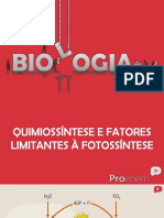 Quimiossintese e Fatores Limitantes A Fotossintese6