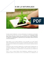 Derechos de la naturaleza Word