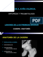 Anatomiadecaderayfxsubt 141003113147 Phpapp01 PDF
